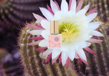 Kelly + Jones - MEZCAL GOLD Perfume Oil: Flora *NEW LOOK
